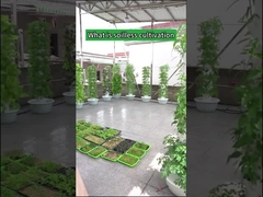 Jardim Agricultura Interior Petal Hydroponic Grow Towers