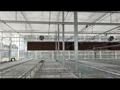 Tabela de crescimento de estufa de arame de malha banco rolante para semeadura