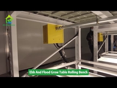 Quartos de banho de duas camadas de sementes de fluxo e fluxo de estufa