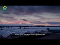 Estufas agrícolas de grande envergadura