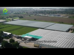 Estufa de vidro totalmente inteligente para o cultivo de tomates e pimentões