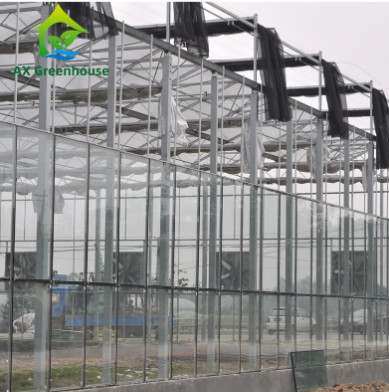 O anúncio publicitário moderou o tipo de vidro estufa Multispan de Venlo para agrícola