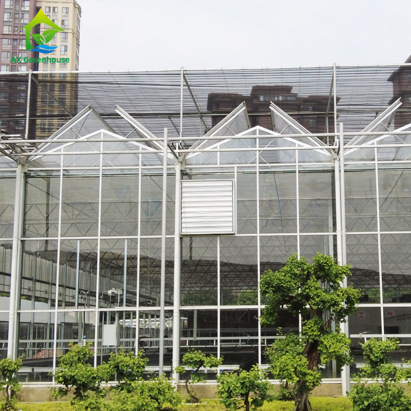 Estrutura de aço galvanizado a quente Moldura de telhado triangular 30*20m Commercial Customizado Estufas Automáticas Venlo Estufas de vidro