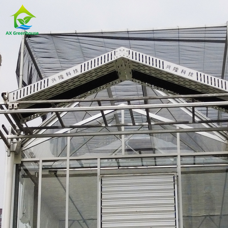 Estrutura de aço galvanizado a quente Moldura de telhado triangular 30*20m Commercial Customizado Estufas Automáticas Venlo Estufas de vidro