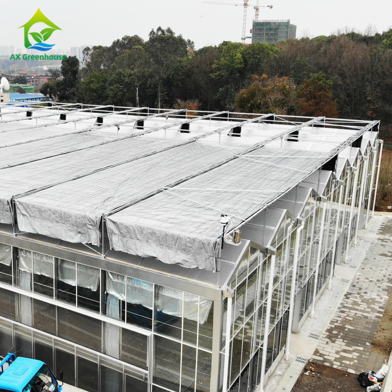 Estrutura de aço galvanizado a quente Moldura de telhado triangular 30*20m Commercial Customizado Estufas Automáticas Venlo Estufas de vidro