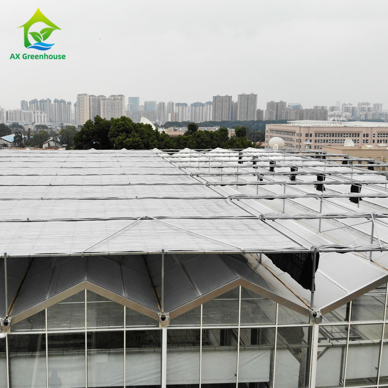 Estrutura de aço galvanizado a quente Moldura de telhado triangular 30*20m Commercial Customizado Estufas Automáticas Venlo Estufas de vidro