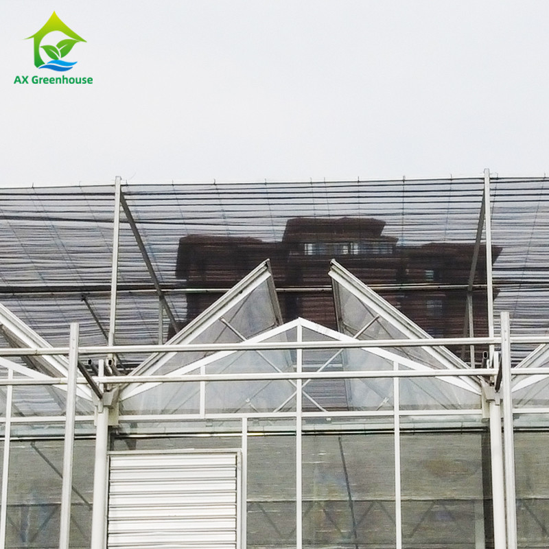 9.6m/10.8m/12m Largura Alumínio Corpo de Ligação de Vidro Agrícola Venlo Estufa Multi-span Com Triângulo Moldado teto