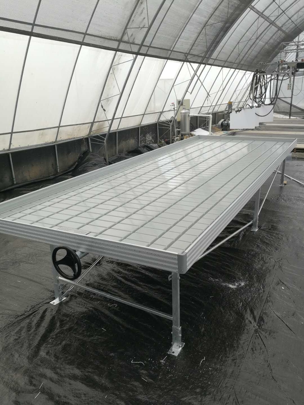 Cresça o banco de Tray Rolling Ebb And Flow da inundação da tabela para a plântula da estufa da flor