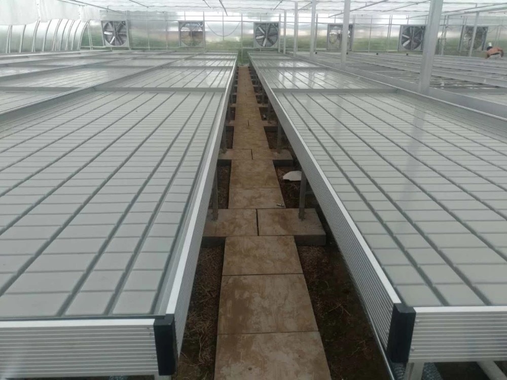 Cresça o banco de Tray Rolling Ebb And Flow da inundação da tabela para a plântula da estufa da flor