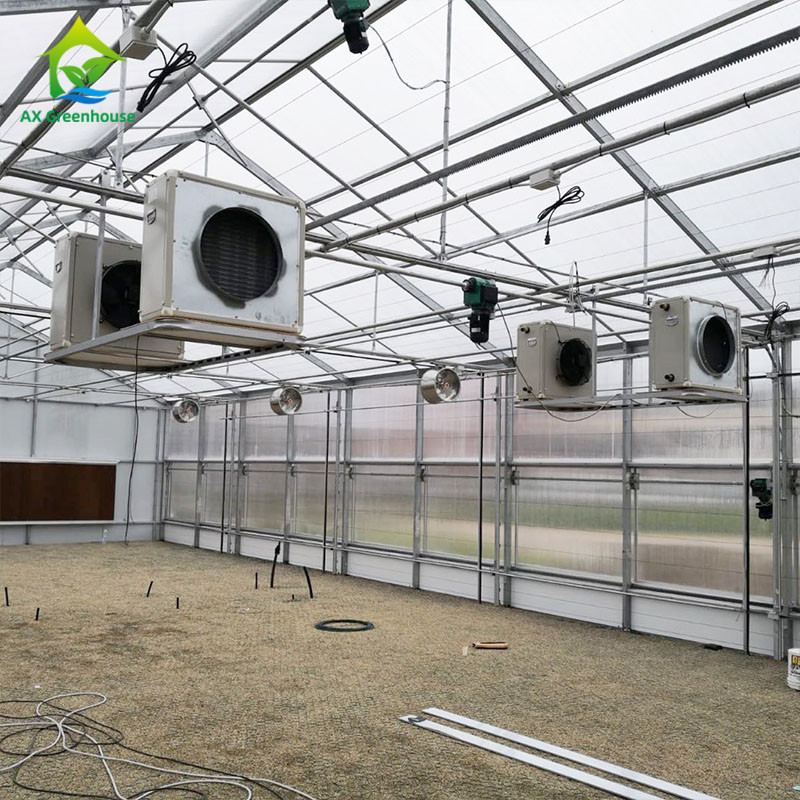 Escurecimento claro da estufa da privação do filme 220V do PE estufa 100% alta do túnel do auto para plantar Mariguana