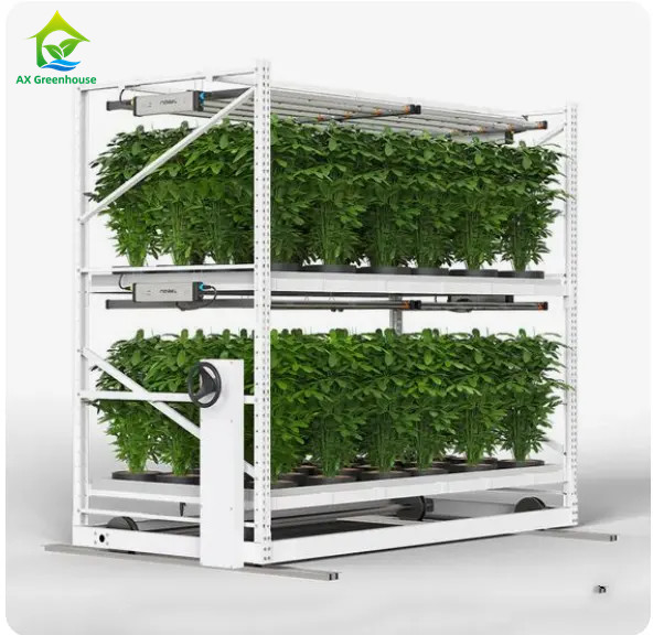 Rack de cultivo de ervas medicinais vegetais de camadas duplas para cultivo vertical