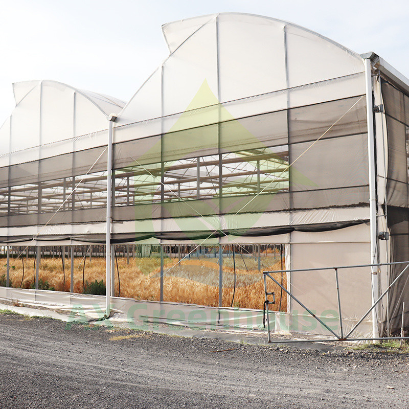Estrutura de aço Filtro resistente aos raios UV Túnel poli-multi-span Estufas vegetais para tomates