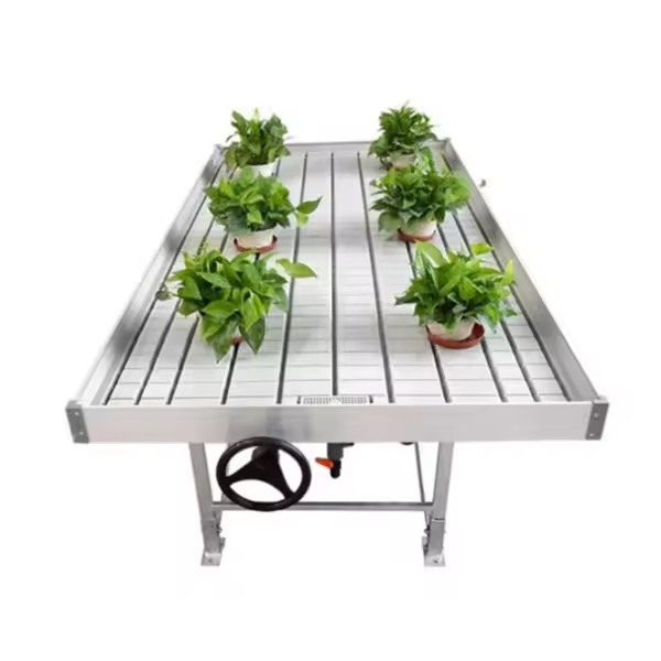 Plantação em estufa de fluxo de fluxo de fluxo de fluxo de fluxo de fluxo de fluxo de fluxo de fluxo