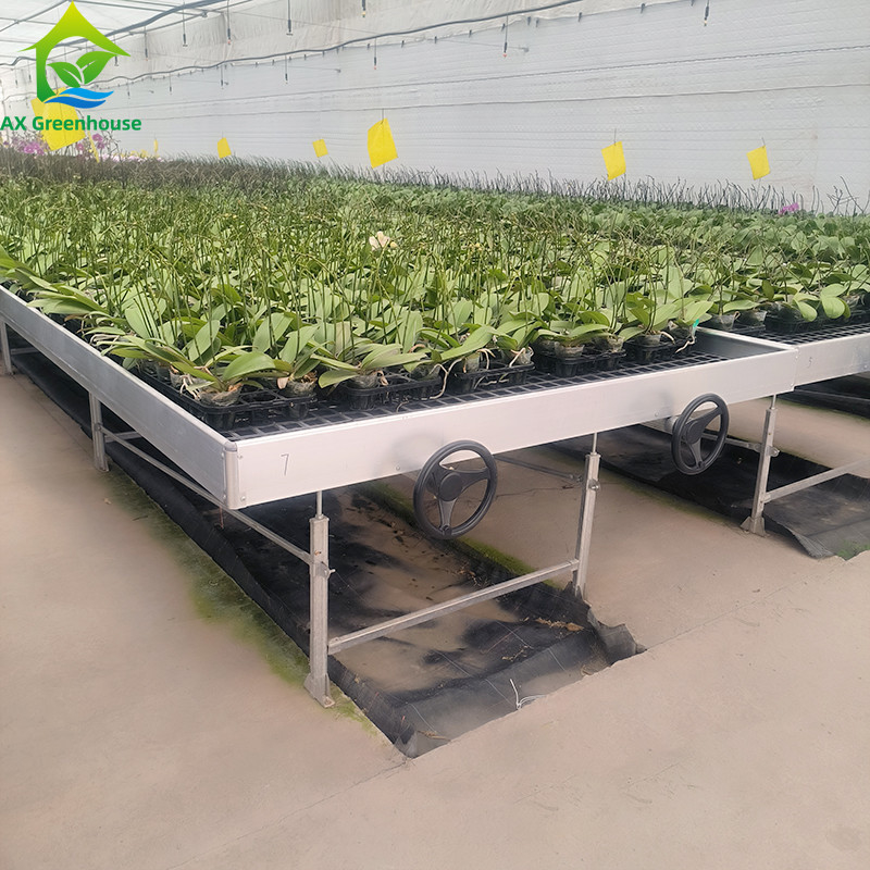 Eixo e inundação hidropônica mesa móvel banco rolante para plantas em crescimento em estufa
