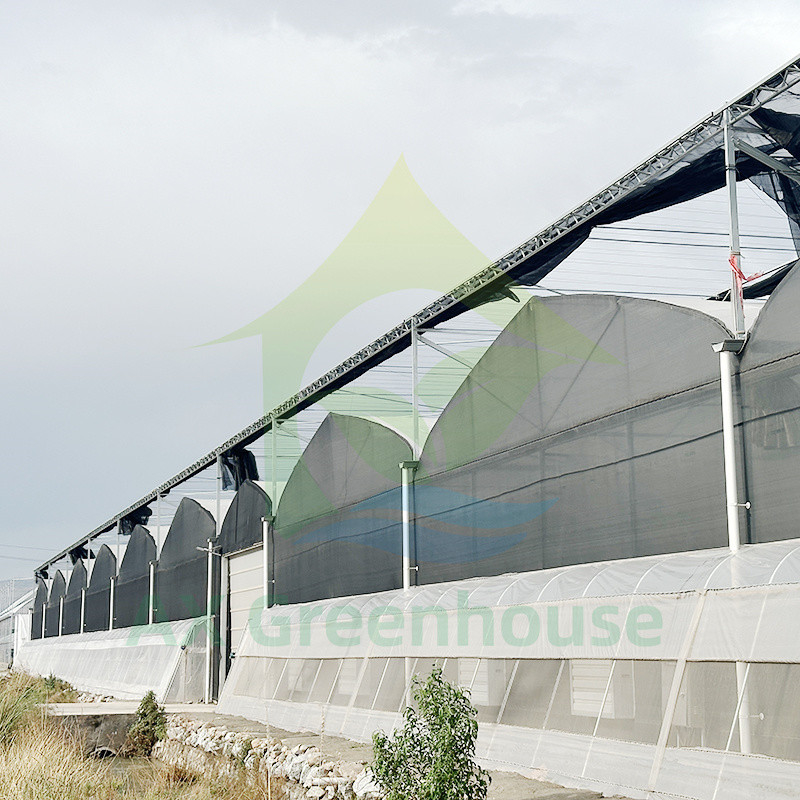 Filtro de plástico PE Multi Span Tomate Polytunnel Estufas Para Frutas Legumes Com Rede de Sombra