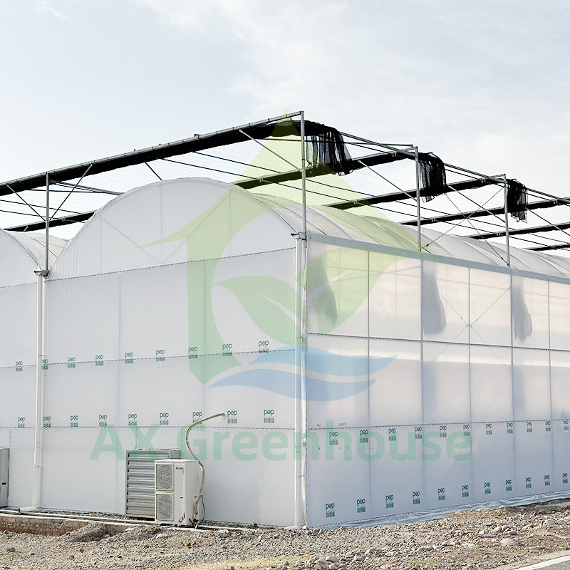 Filtro de plástico PE Multi Span Tomate Polytunnel Estufas Para Frutas Legumes Com Rede de Sombra
