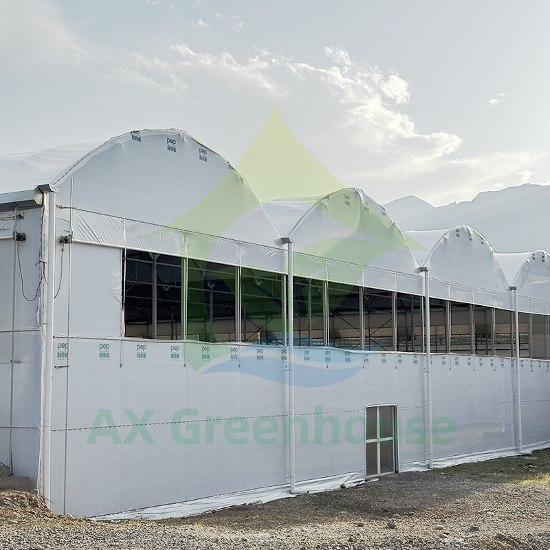 Filtro de plástico PE Multi Span Tomate Polytunnel Estufas Para Frutas Legumes Com Rede de Sombra