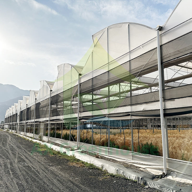 Filtro de plástico PE Multi Span Tomate Polytunnel Estufas Para Frutas Legumes Com Rede de Sombra