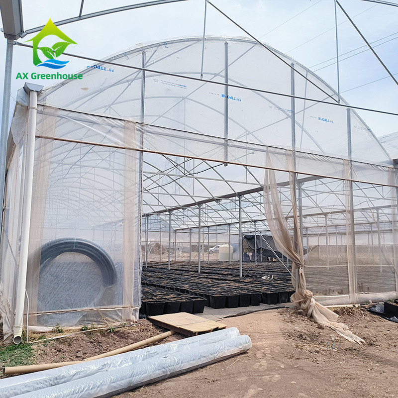 Estrutura de estrutura de estrutura de metal tropical multi-espansão Tomate Polytunnel Estufas para frutas e legumes