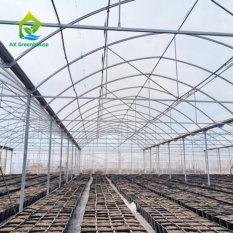 Estrutura de estrutura de estrutura de metal tropical multi-espansão Tomate Polytunnel Estufas para frutas e legumes