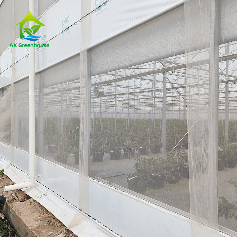 Estrutura de estrutura de estrutura de metal tropical multi-espansão Tomate Polytunnel Estufas para frutas e legumes