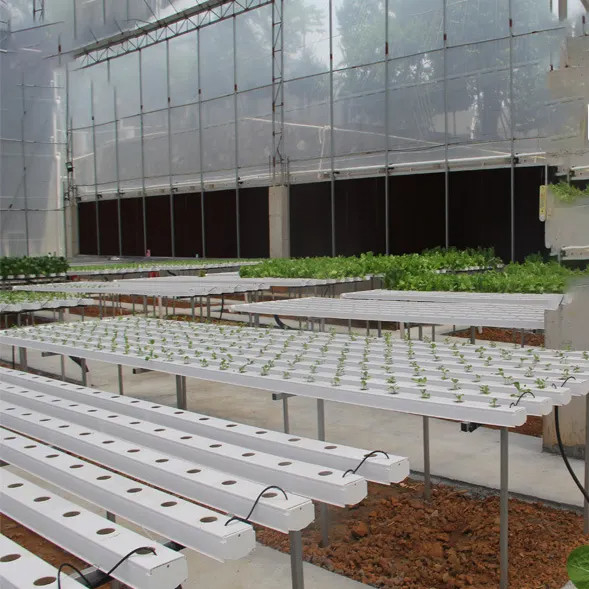 Agricultura sem solo em ambientes fechados Fertilização de morangos Tubo de PVC para hidroponia Sistema NFT para venda