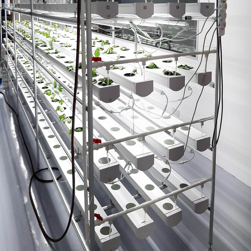 Horticultura Tubo circular Cultura sem solo Hidropônica Sistemas de crescimento de canais NFT para crescimento