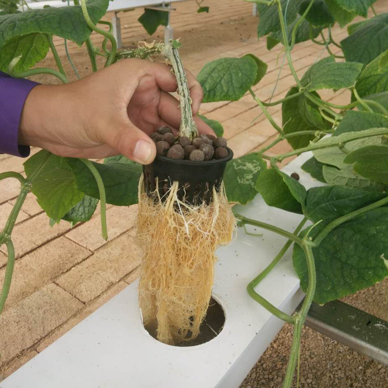 Horticultura Tubo circular Cultura sem solo Hidropônica Sistemas de crescimento de canais NFT para crescimento