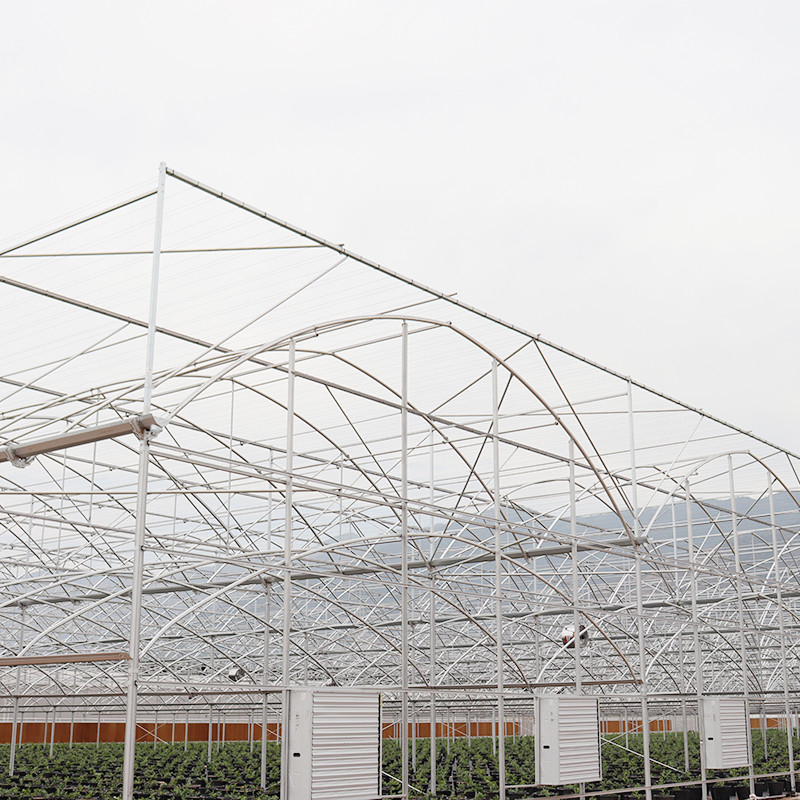 Estrutura de aço galvanizado a quente Multi-Span Film de plástico Estufas personalizadas com design de dente de serra de ventilação tropical