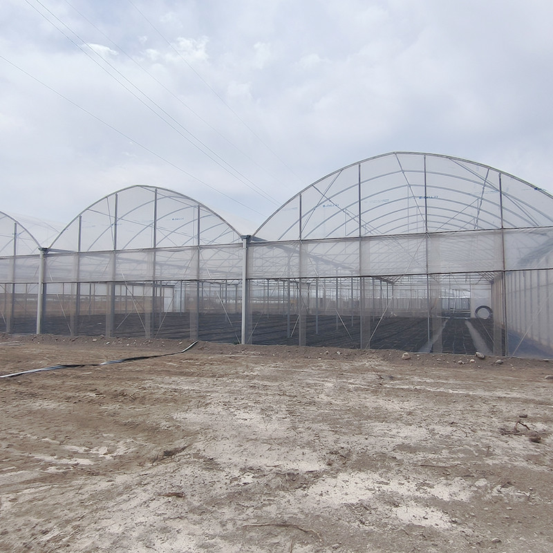 Estrutura de aço galvanizado a quente Multi-Span Film de plástico Estufas personalizadas com design de dente de serra de ventilação tropical