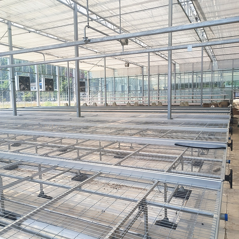 Bancada de cultivo rolante para estufa personalizada com vantagem de fácil construção e estrutura de aço galvanizado a quente