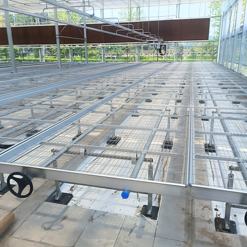 Tabelas de estufa leves e versáteis expansíveis para o cultivo de vários tipos de plantas resistentes à ferrugem