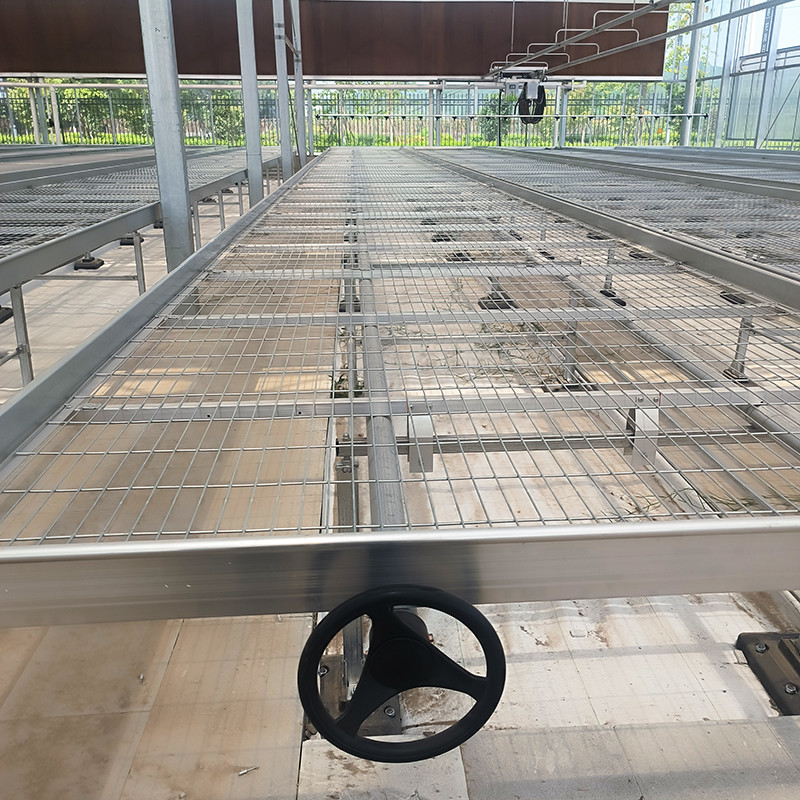 Tabelas de estufa leves e versáteis expansíveis para o cultivo de vários tipos de plantas resistentes à ferrugem
