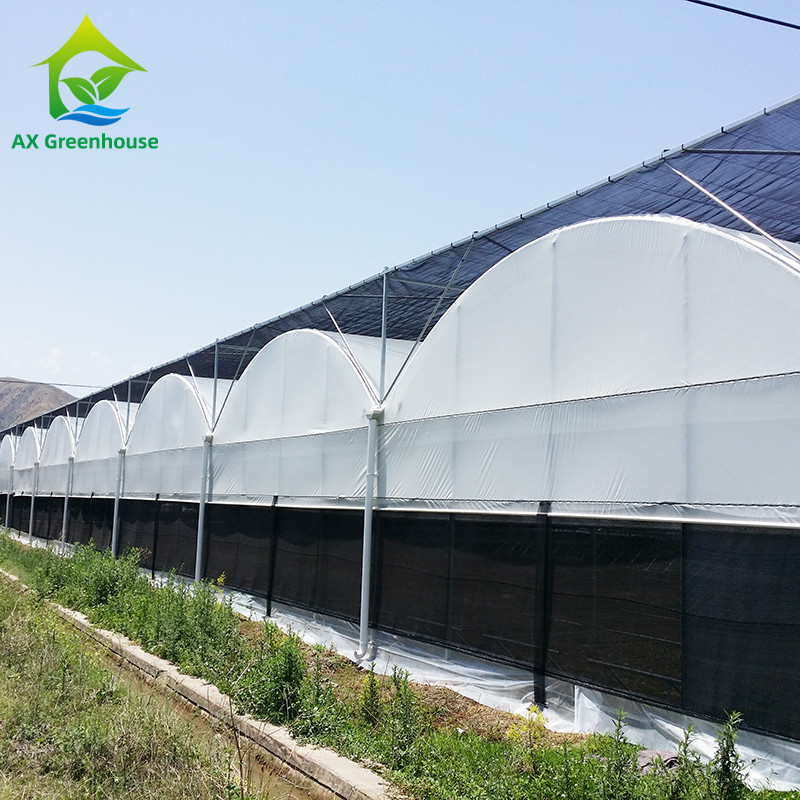 Tubo de aço galvanizado a quente Viveiro Multi-span Panda Film Blackout System Fungo Estufas tropicais