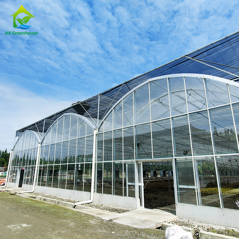 Sistema de controlo inteligente Estufas duráveis para vegetais 9,6m/10,8m/12m Largura