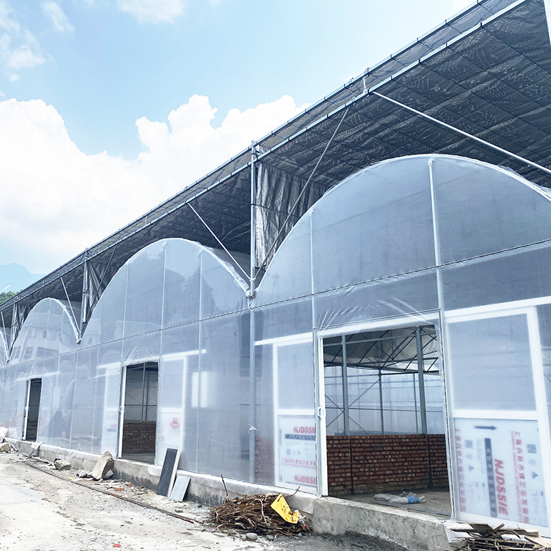 Estufas de plástico resistentes aos raios UV de 30x10m para tomates e vegetais com cobertura de filme