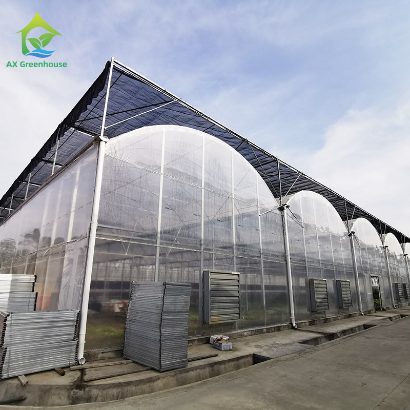 Estufas de plástico resistentes aos raios UV de 30x10m para tomates e vegetais com cobertura de filme