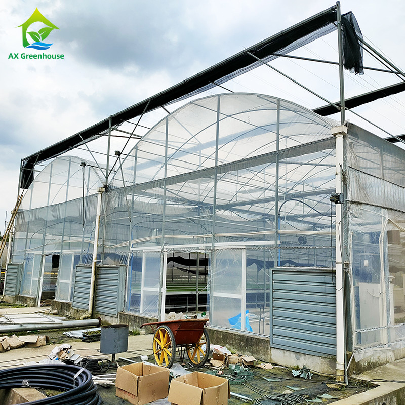 Estufas de plástico resistentes aos raios UV de 30x10m para tomates e vegetais com cobertura de filme