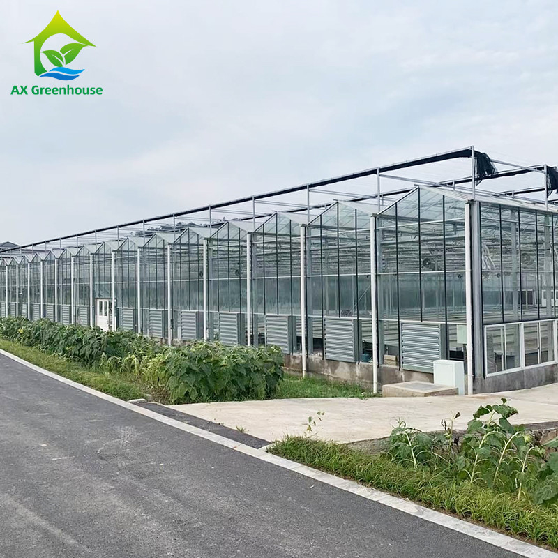 9.6m/10.8m/12m Largura Alumínio Corpo de Ligação de Vidro Agrícola Venlo Estufa Multi-span Com Triângulo Moldado teto