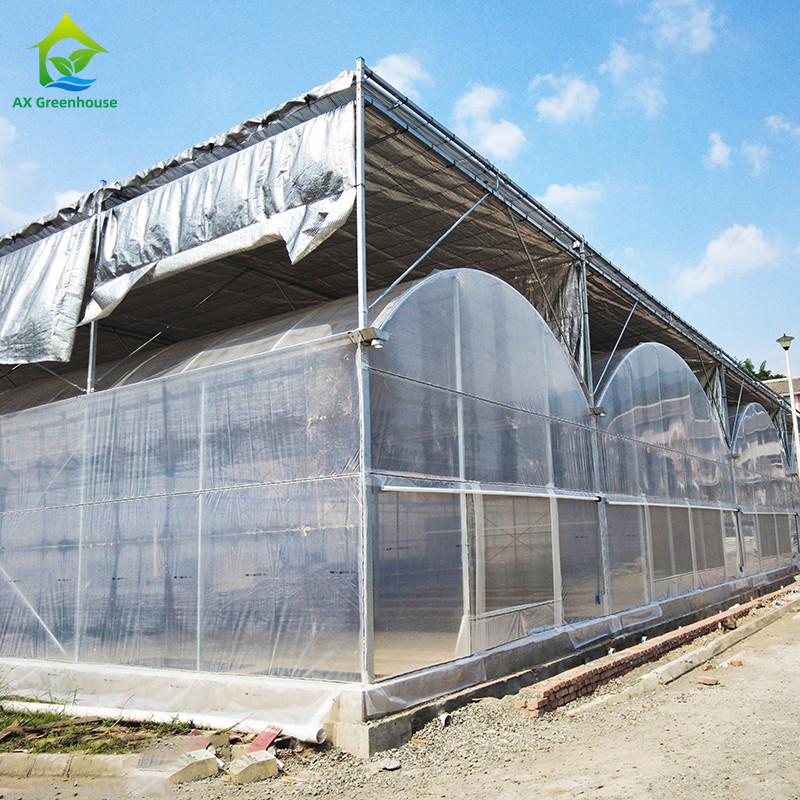 Filtro de plástico durável galvanizado a quente de aço multiespan Estufas agrícolas para frutas