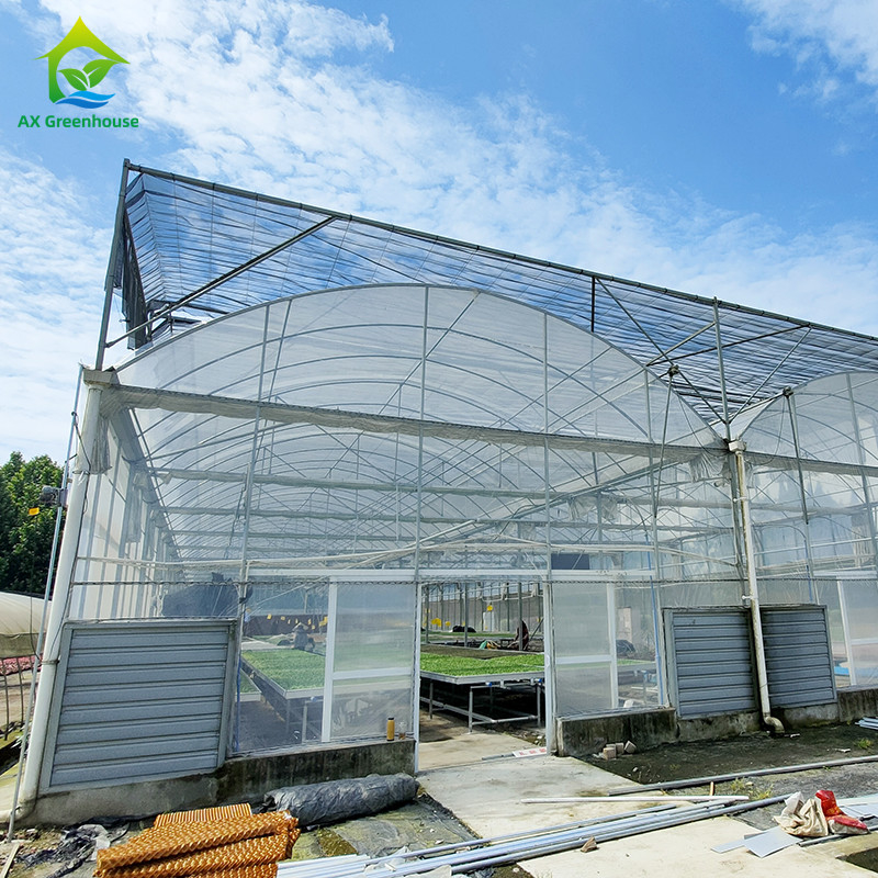 Filtro de plástico durável galvanizado a quente de aço multiespan Estufas agrícolas para frutas
