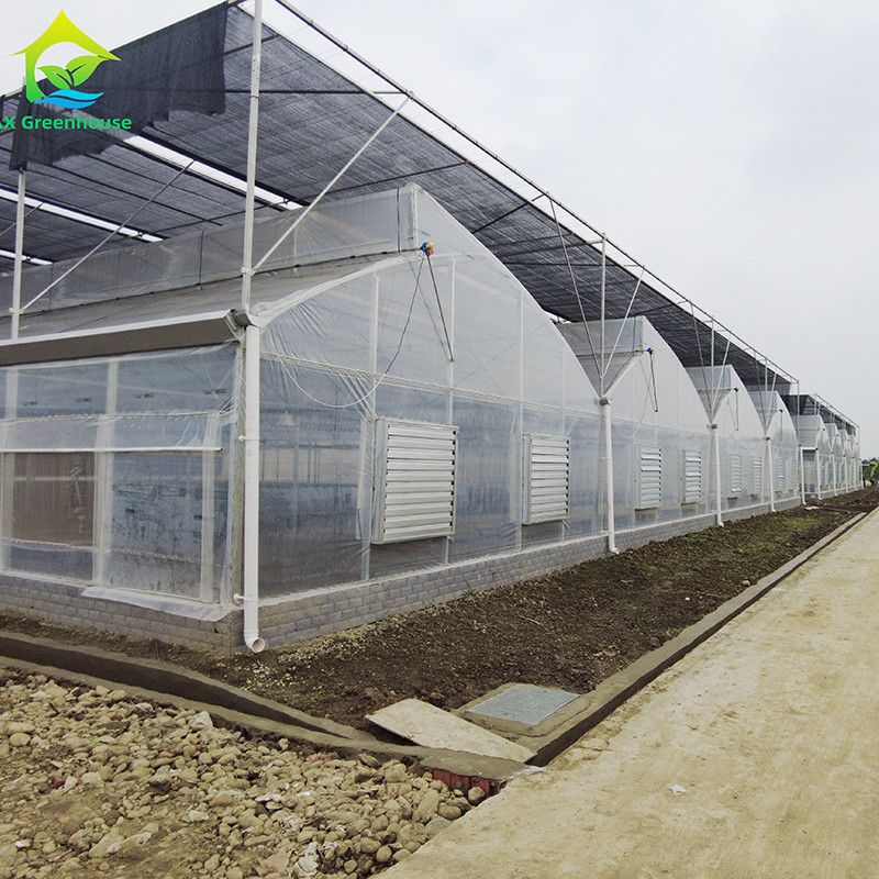 Filtro de plástico durável galvanizado a quente de aço multiespan Estufas agrícolas para frutas