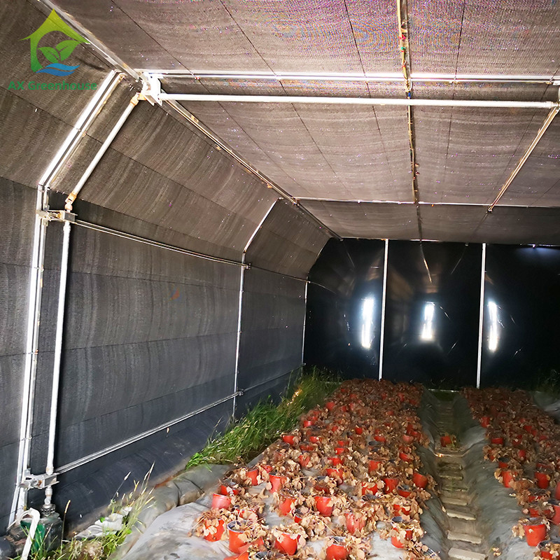 Estufa de privação de luz completa com filme de apagão e quadro de tubos de aço galvanizado a quente personalizado