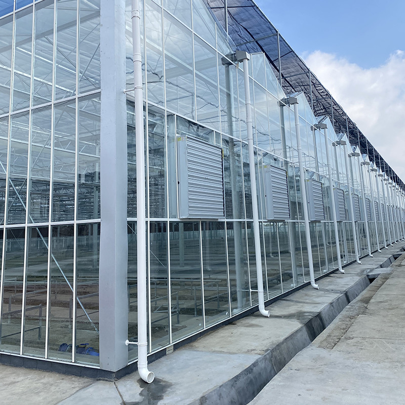 Estrutura de aço galvanizado a quente e cobertura de vidro reforçada para ventilação ideal em estufas de vidro agrícolas
