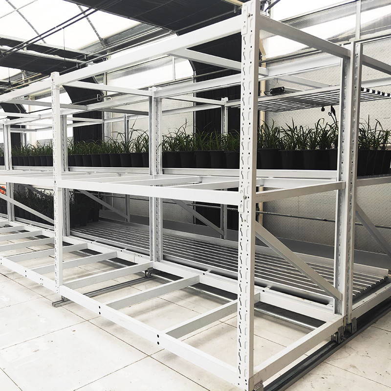 Rack de cultivo de ervas medicinais vegetais de camadas duplas para cultivo vertical