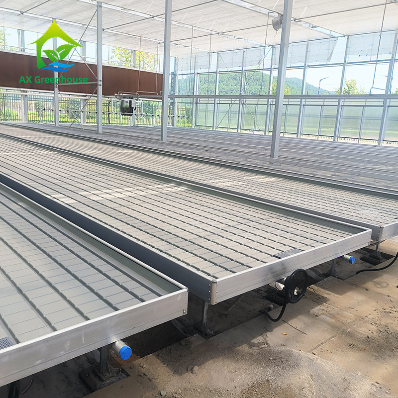 Bancos rolantes de estufa Tabela de cultivo para planta de tomate Sementes Sistema de irrigação de fluxo e fluxo
