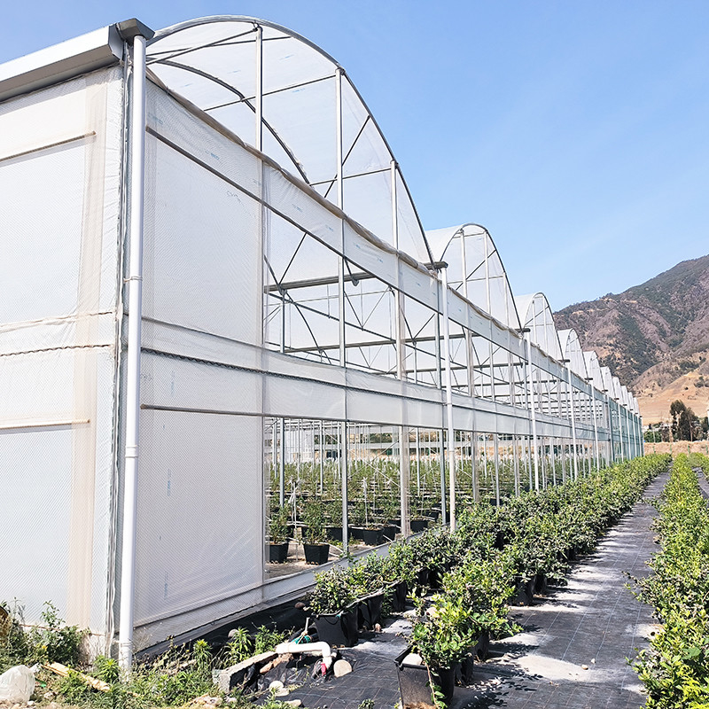 Estufas de plástico resistentes aos raios UV de 30x10m para tomates e vegetais com cobertura de filme