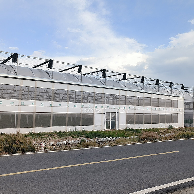 Estrutura de aço Agricultura Túnel poli negro sombreado Estufas multi-span com sistema de refrigeração opcional