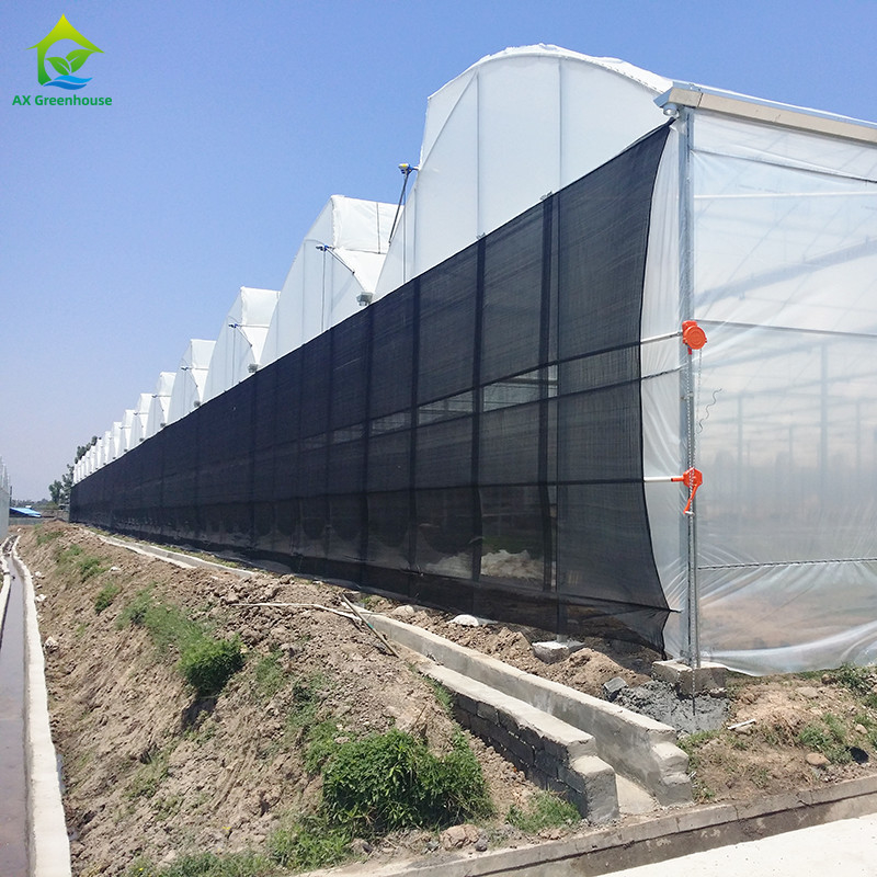 Estrutura de aço Agricultura Túnel poli negro sombreado Estufas multi-span com sistema de refrigeração opcional