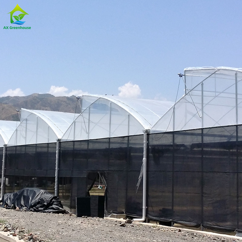 Estrutura de aço Agricultura Túnel poli negro sombreado Estufas multi-span com sistema de refrigeração opcional